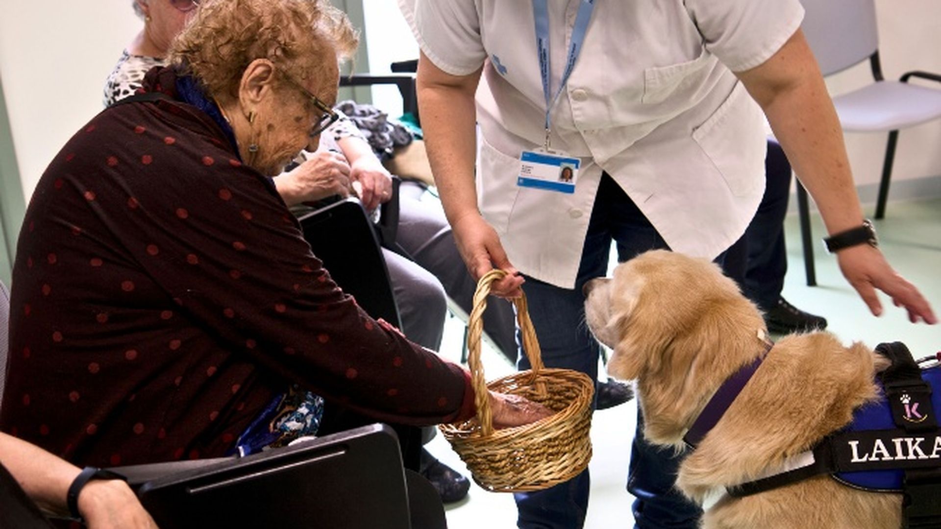 La terapia con perros para reducir la soledad no deseada en un CAP de Lleida