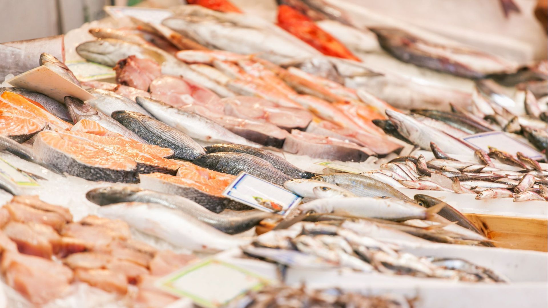 Cómo congelar el pescado