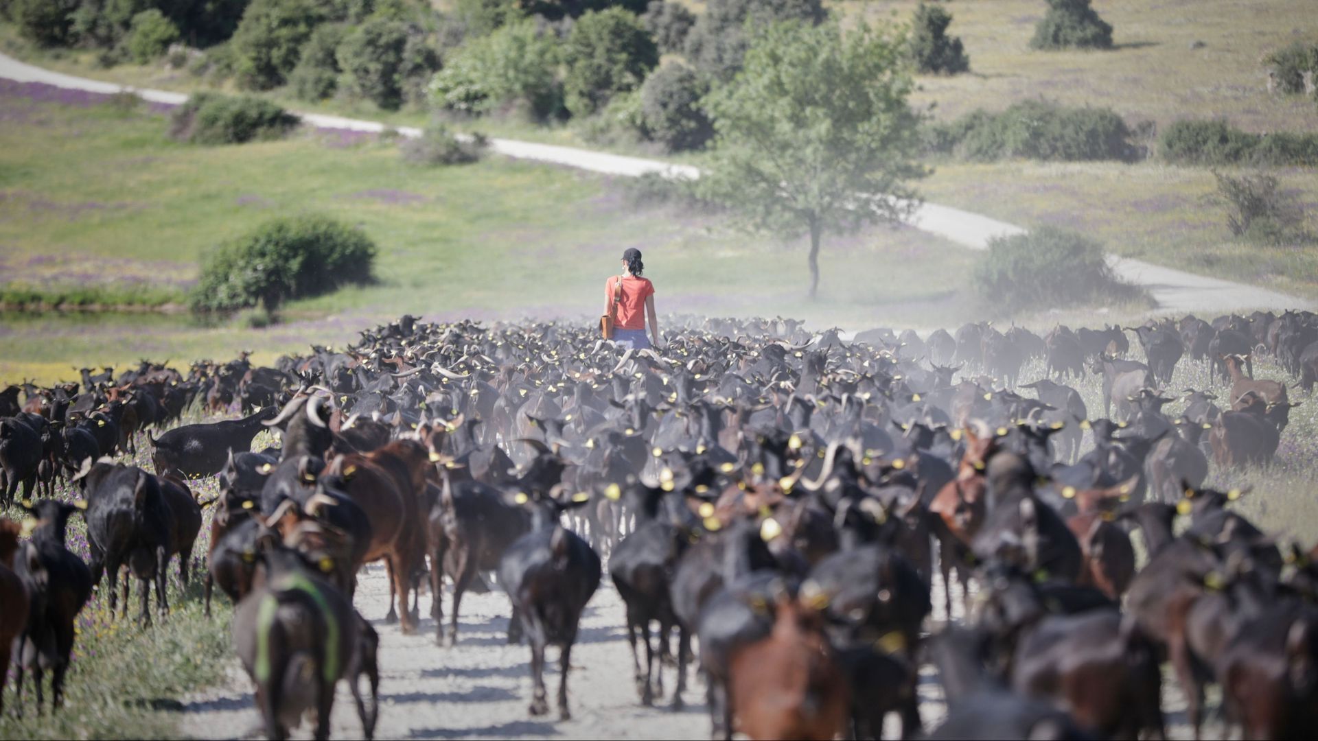'Voces jóvenes del campo' se unen para impulsar el relevo generacional del sector: "Necesitamos garantizar que esa demanda que existe pueda abastecerse"