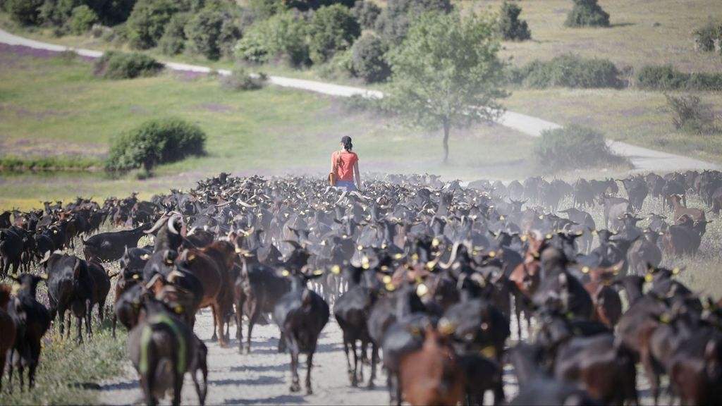 'Voces jóvenes del campo' se unen para impulsar el relevo generacional del sector: "Necesitamos garantizar que esa demanda que existe pueda abastecerse"