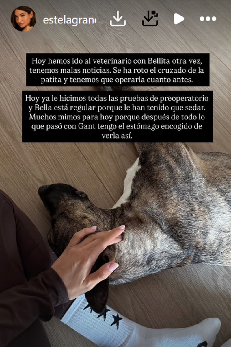 Estela Grande habla de las malas noticias que ha recibido en el veterinario con su perrita