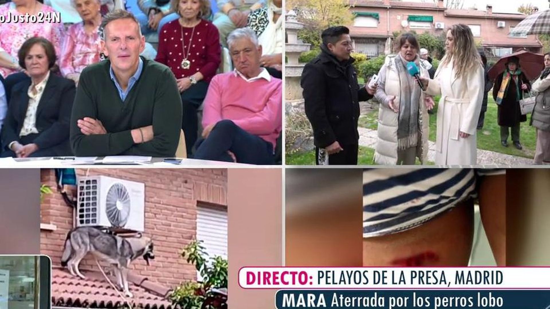 2025_11_24-1504-REC_Telecinco_REC.ts.0x0.158759699735700