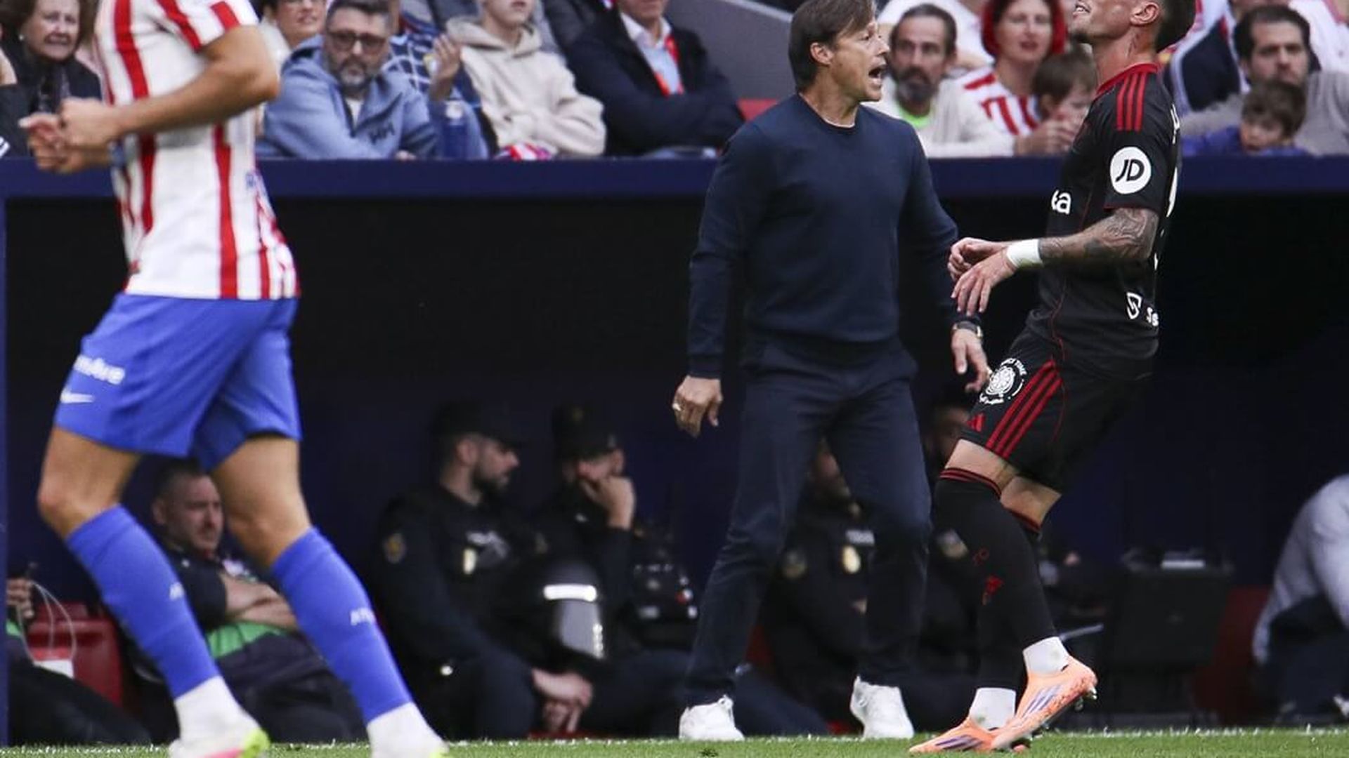 almeyda_metropolitanojpg.jpg almeyda_metropolitanojpg.jpg