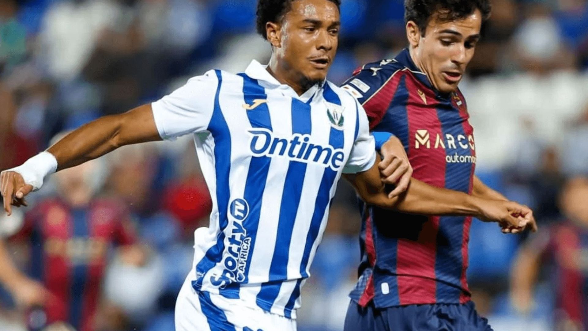 diseno_sin_titulo_59png_001.png diseno_sin_titulo_59png_001.png