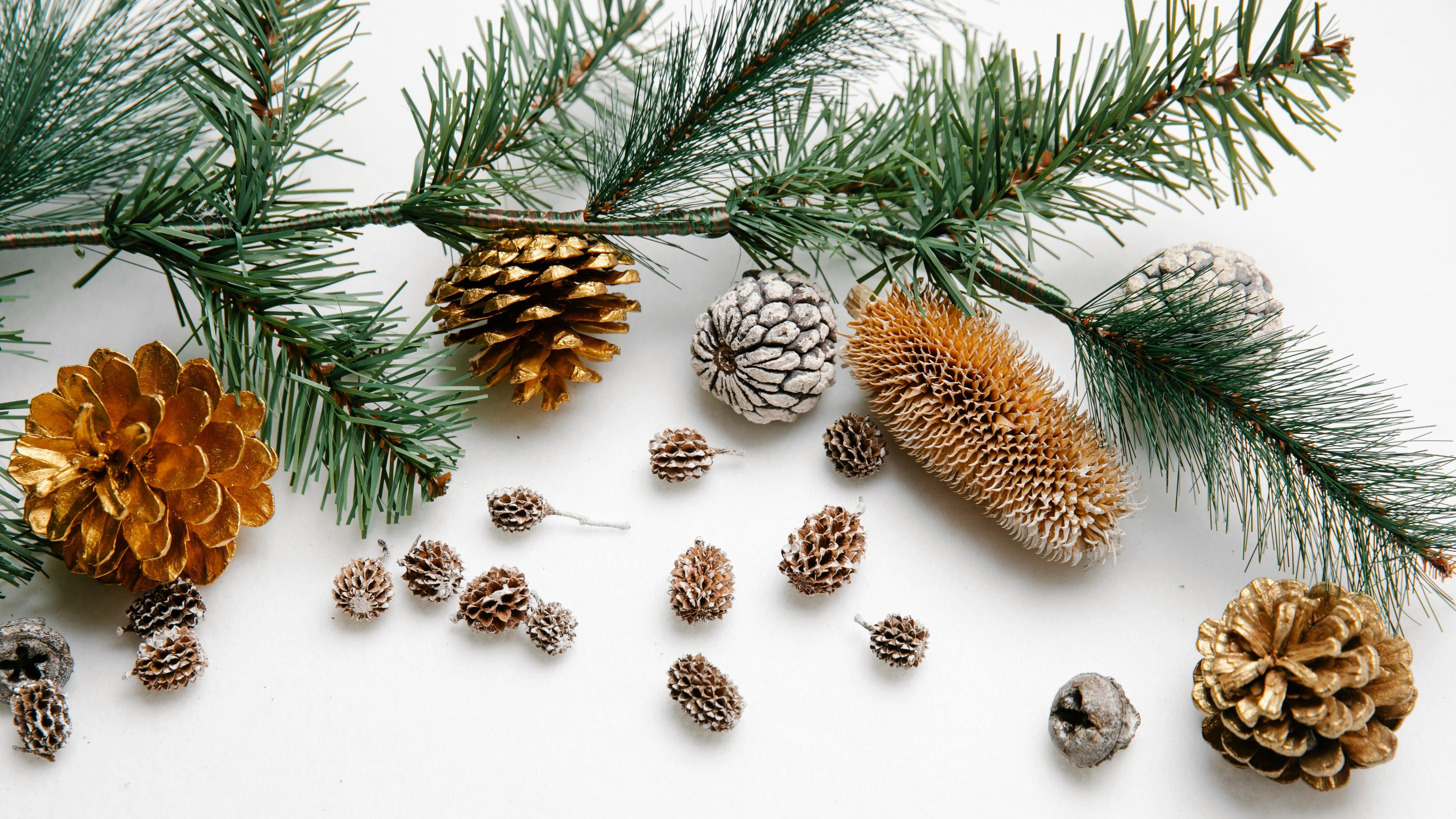 El Feng Shui recomienda los elementos naturales para decorar. FUENTE: Pexels