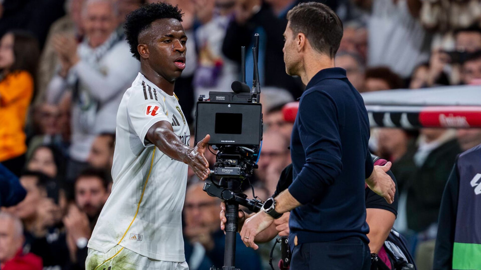 fotojet___2025_11_03t122617244jpg.jpg fotojet___2025_11_03t122617244jpg.jpg