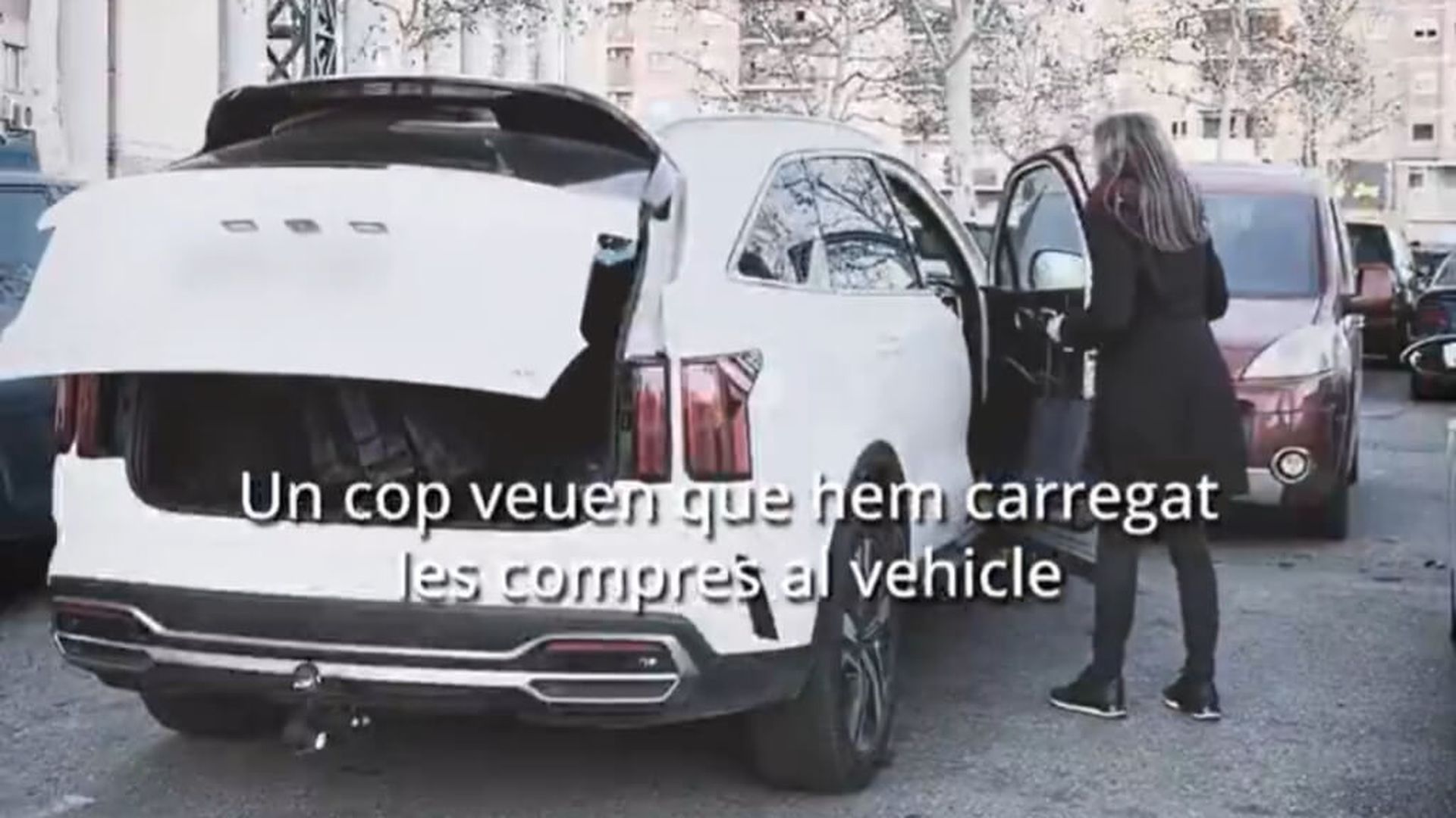 fotojet___2025_11_05t095448491jpg.jpg fotojet___2025_11_05t095448491jpg.jpg