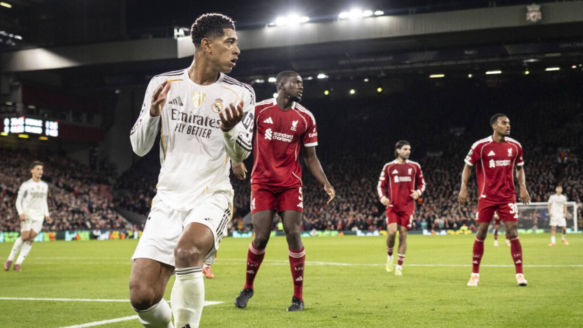 fotojet___2025_11_05t102830612jpg.jpg fotojet___2025_11_05t102830612jpg.jpg