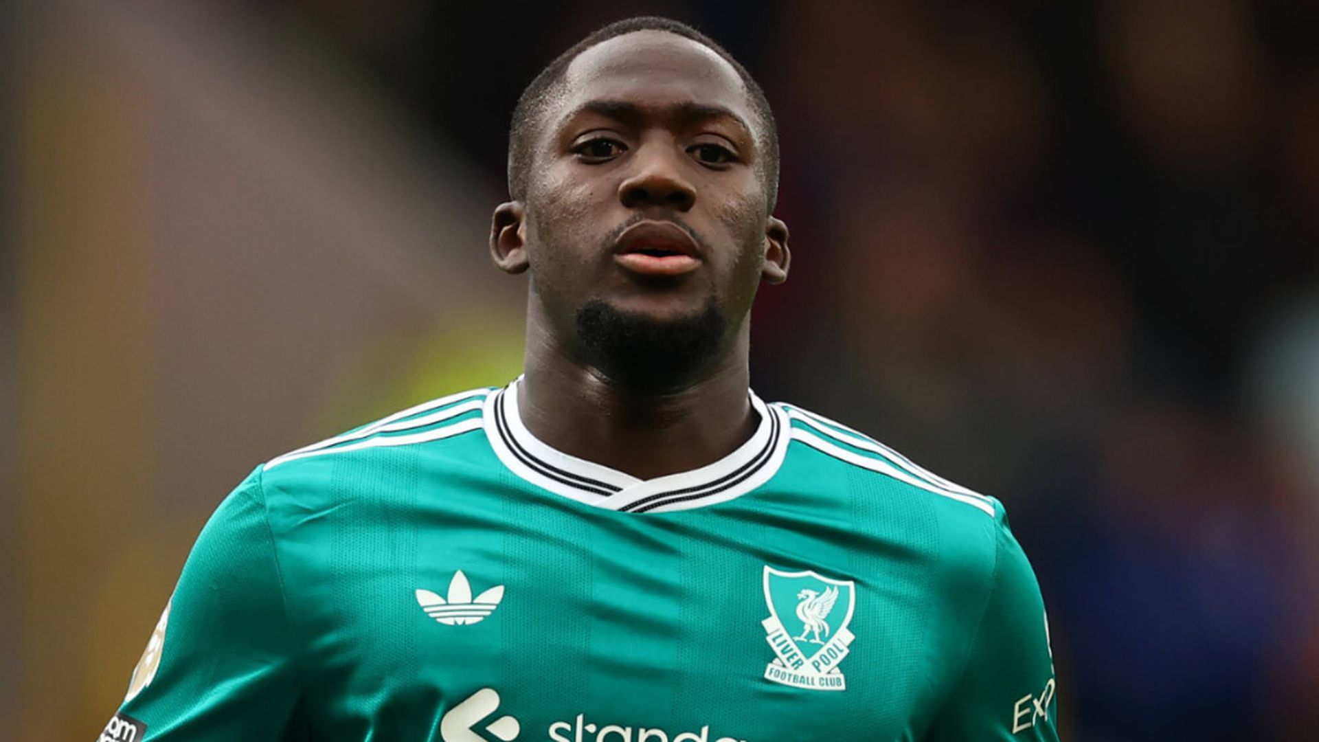 fotojet___2025_11_15t155526777jpg.jpg fotojet___2025_11_15t155526777jpg.jpg