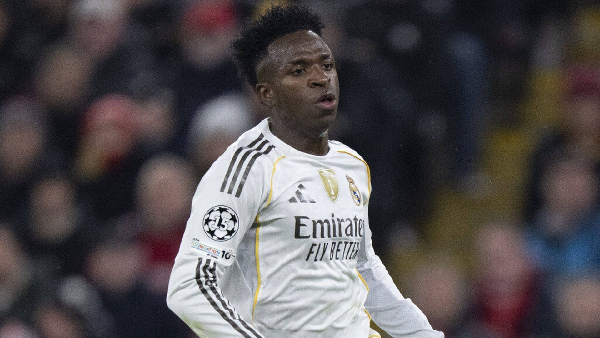 fotojet___2025_11_17t132832314jpg_001.jpg fotojet___2025_11_17t132832314jpg_001.jpg