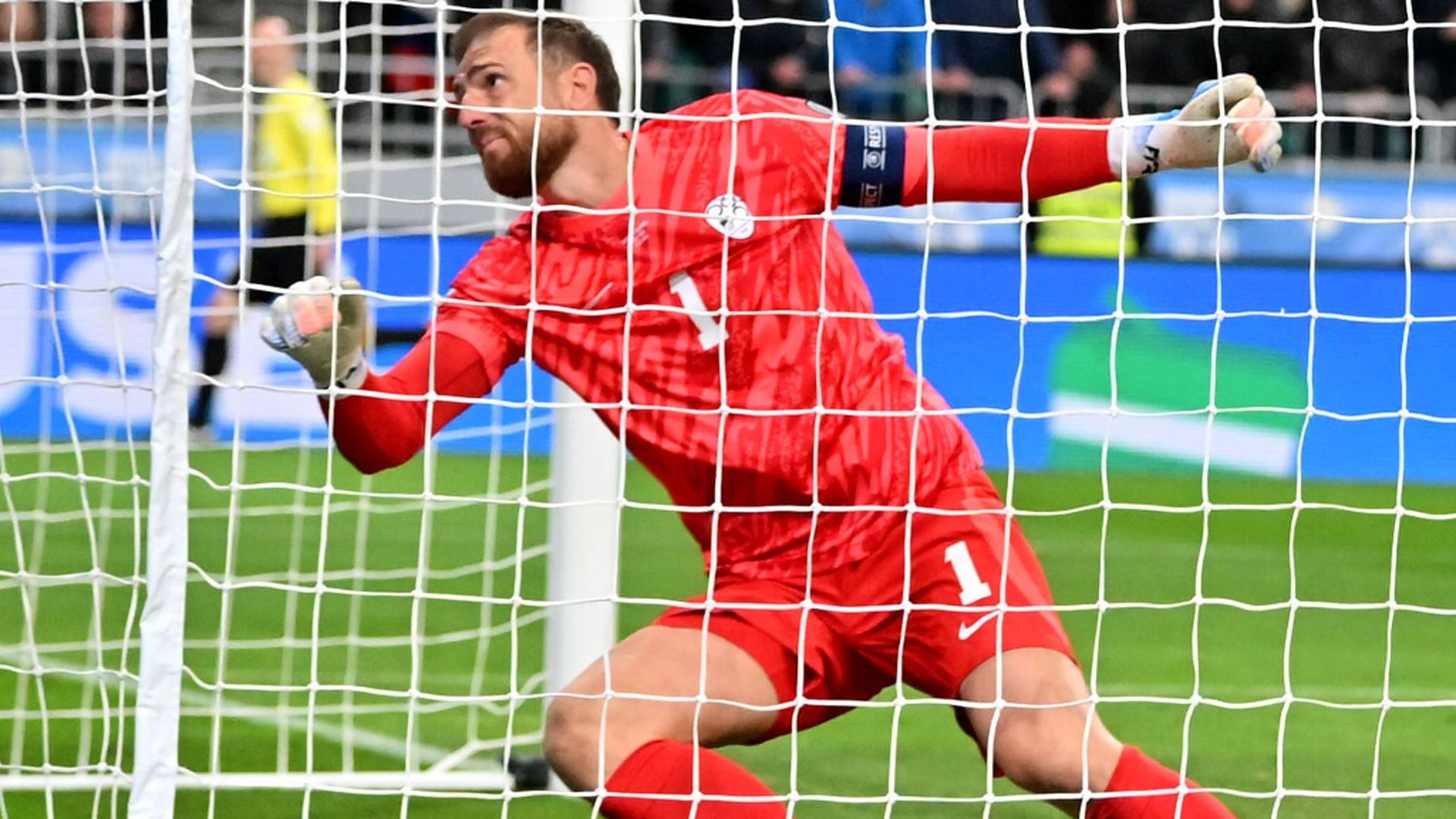 fotojet___2025_11_18t095411809jpg.jpg fotojet___2025_11_18t095411809jpg.jpg