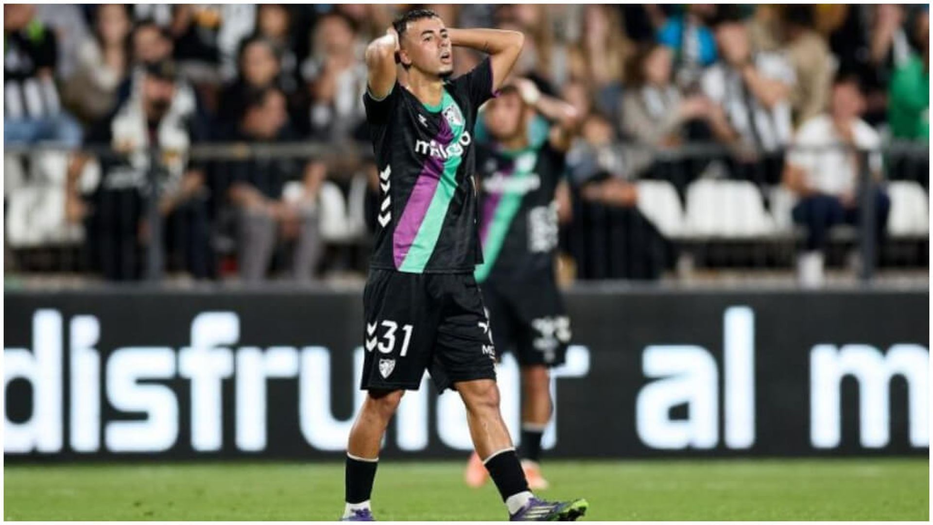 fotojet_23.jpg fotojet_23.jpg