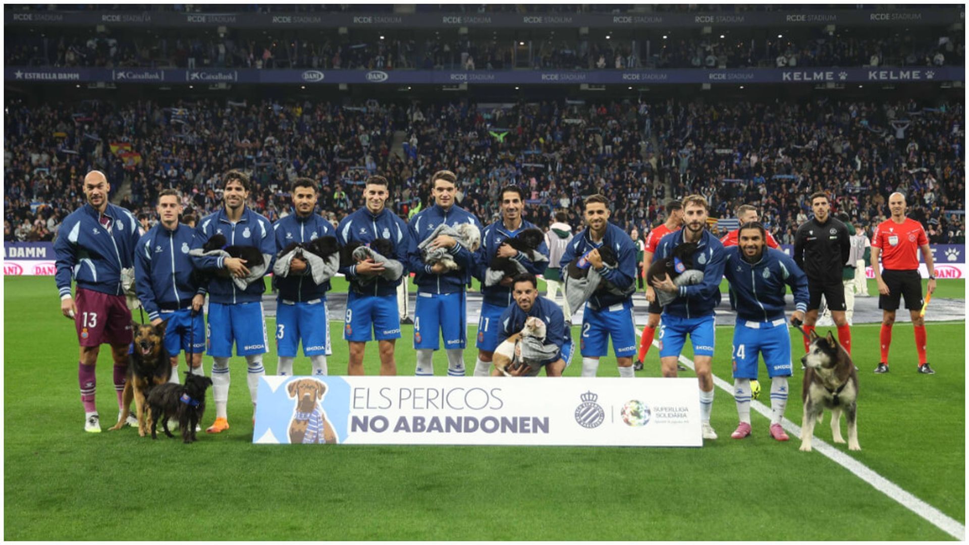 fotojet_2jpg_001.jpg fotojet_2jpg_001.jpg