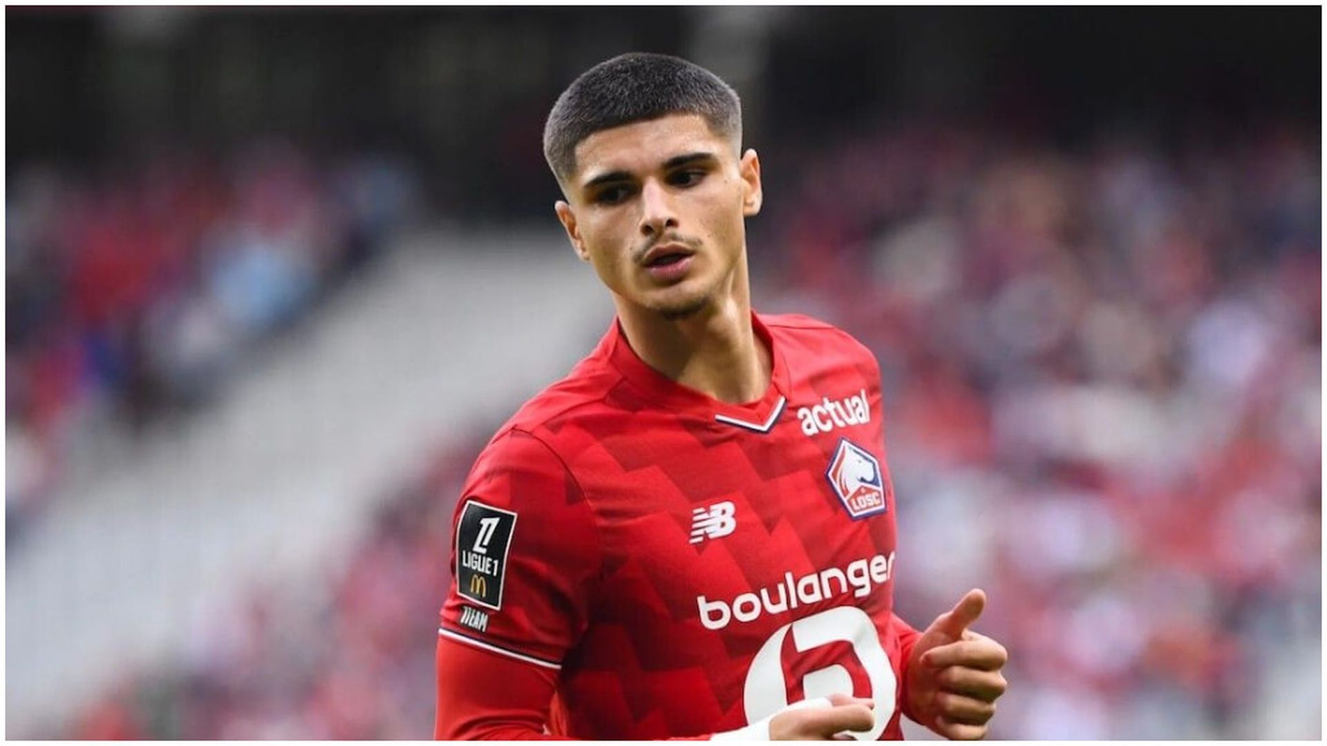 fotojet_53jpg_001.jpg fotojet_53jpg_001.jpg