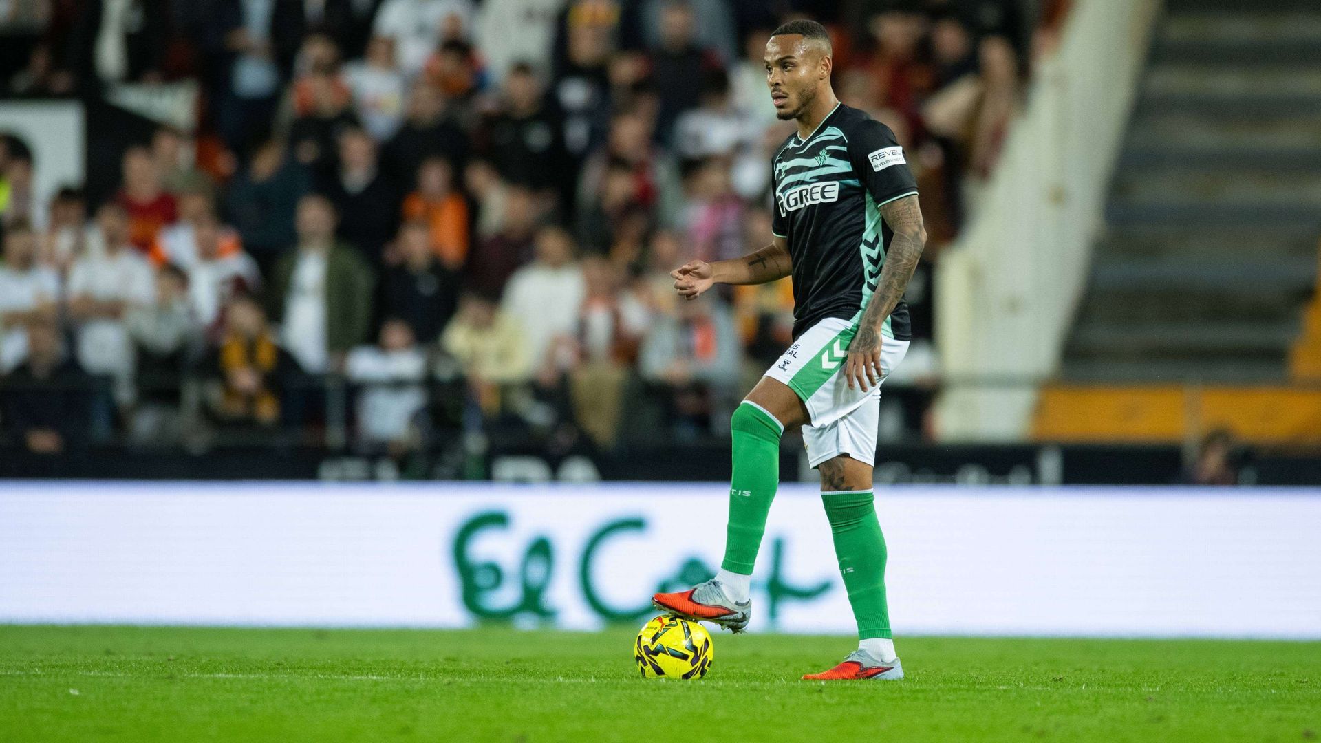 img_2091jpg_001.jpg img_2091jpg_001.jpg