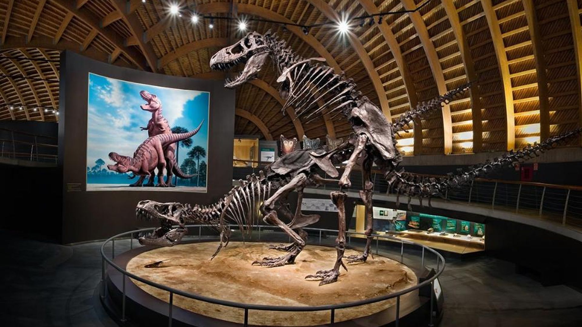 Museo Jurásico de Asturias Museo Jurásico de Asturias