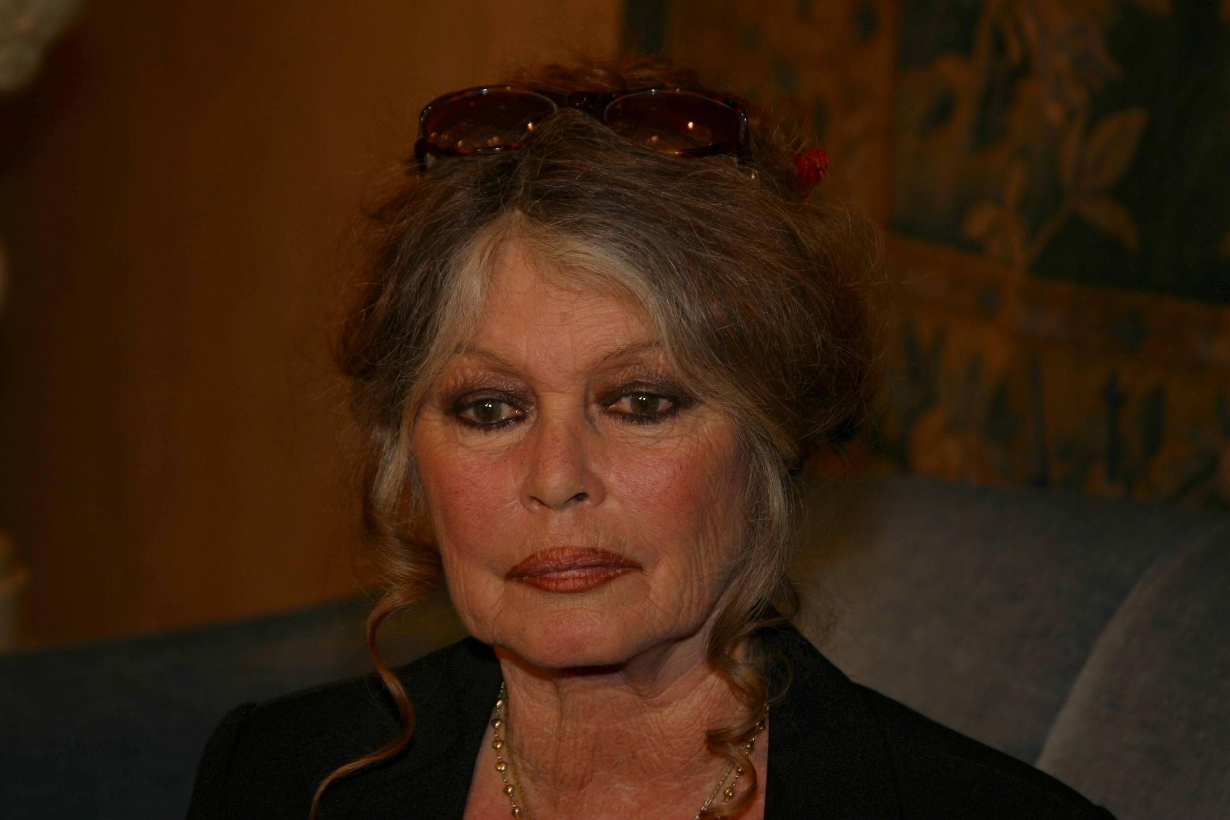 Brigitte Bardot en una imagen más reciente