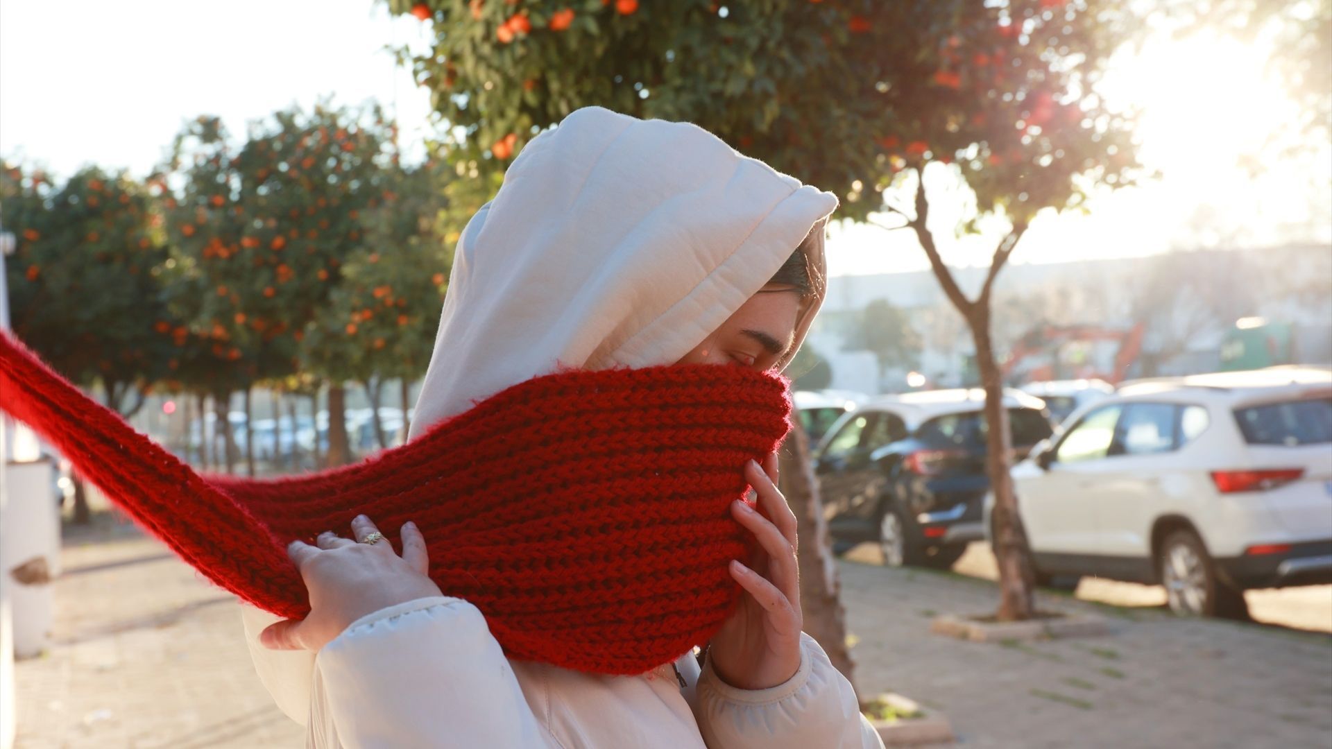 Descenso térmico y heladas en zonas del norte, centro y este del país: Palencia y Teruel bajarán hasta los -2 o -3ºC