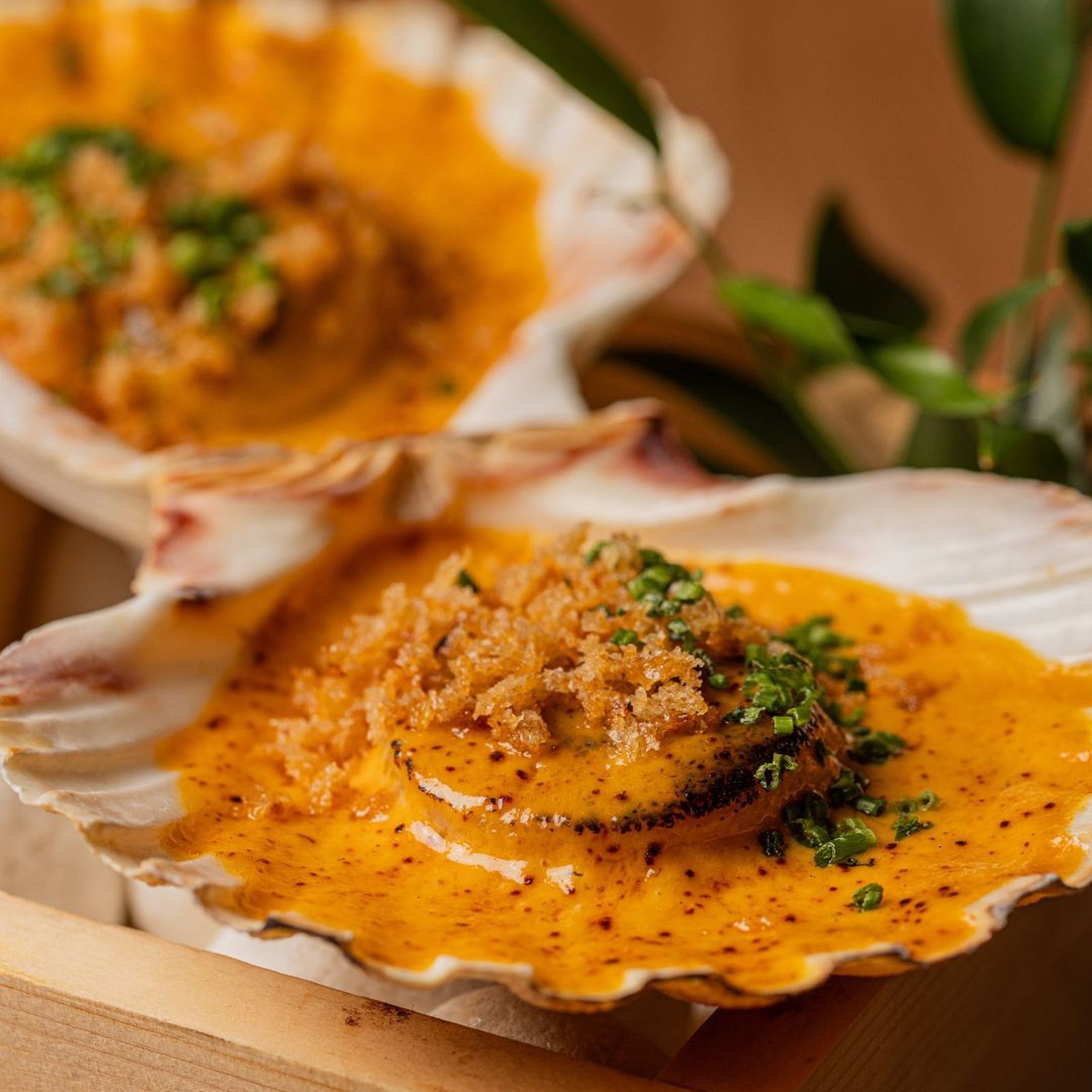 Vieras de Hokkaido, curry de ají panca, Grana Padano y lima