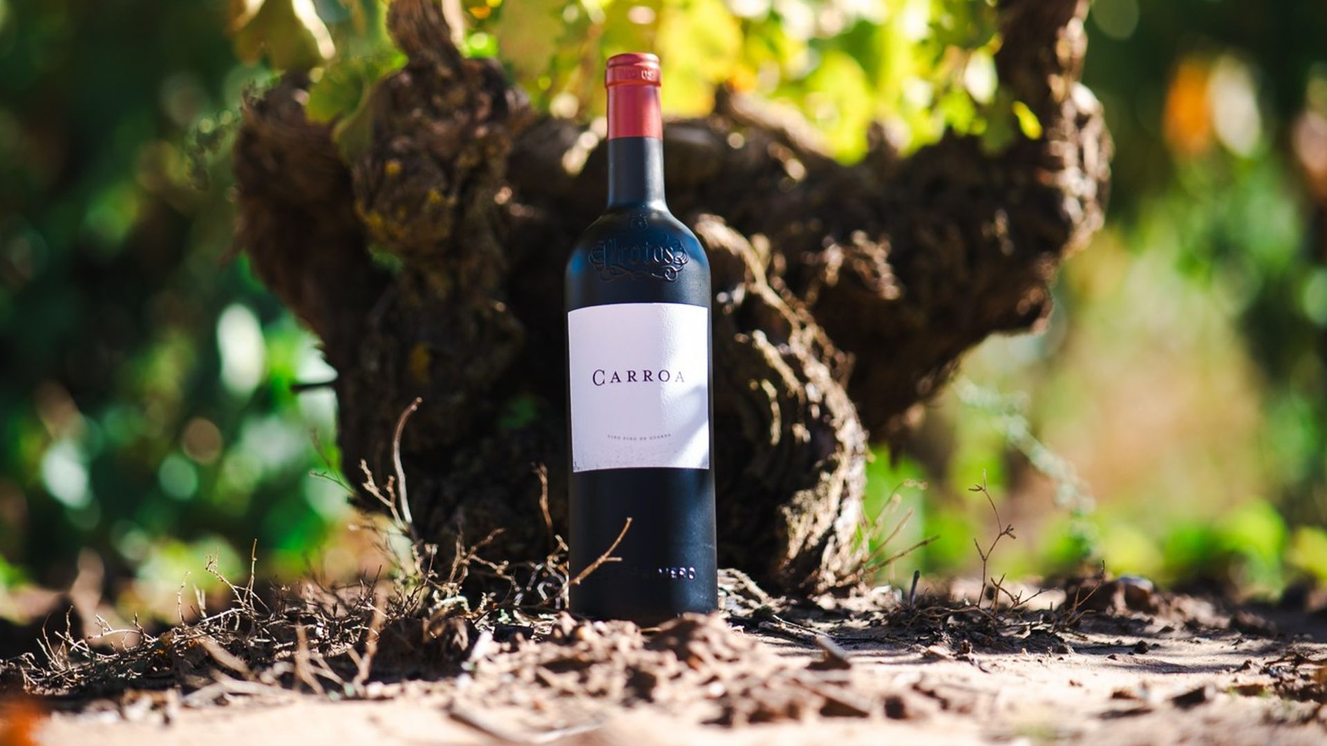 Carroa 2021 es el único Ribera del Duero entre los mejores del mundo