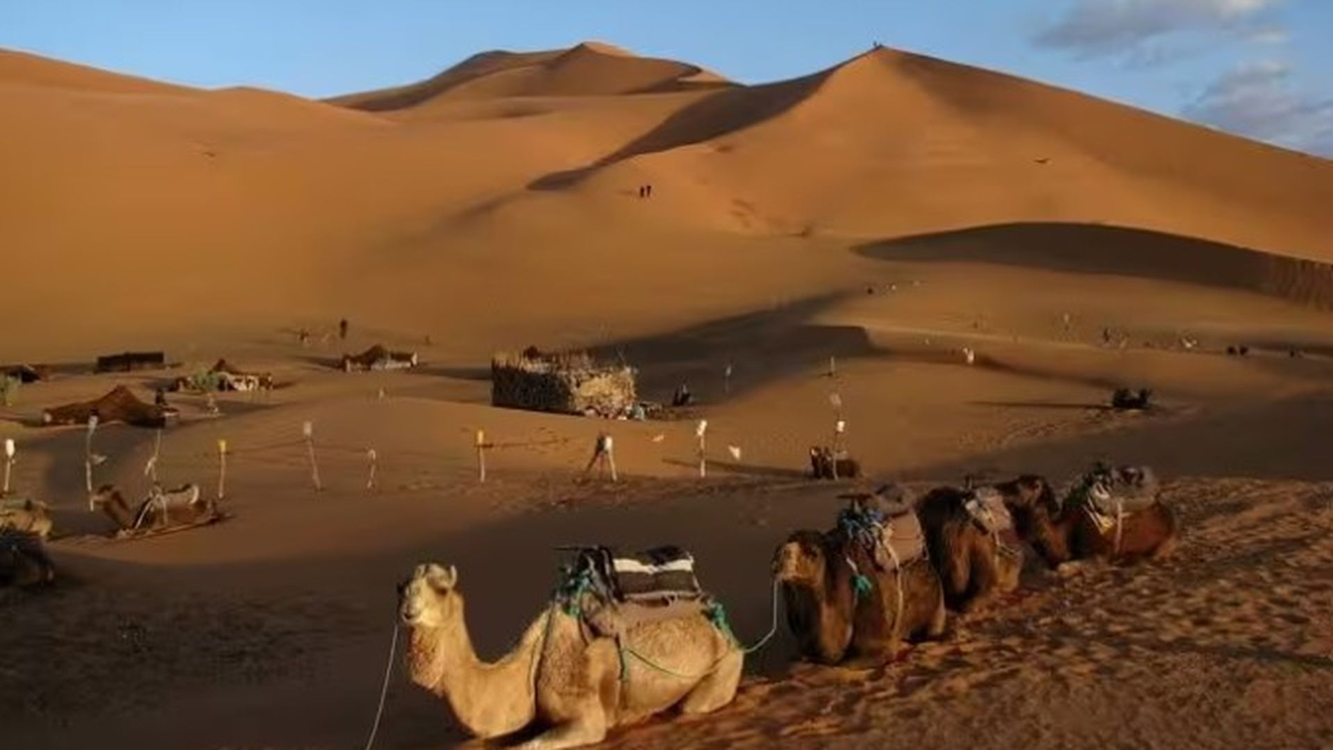 Desierto del Sáhara