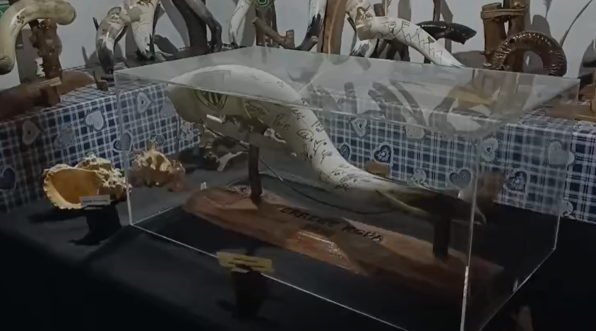 Medio millar de cuernos los expone en su propio museo en Alonsotegi (Vizcaya)