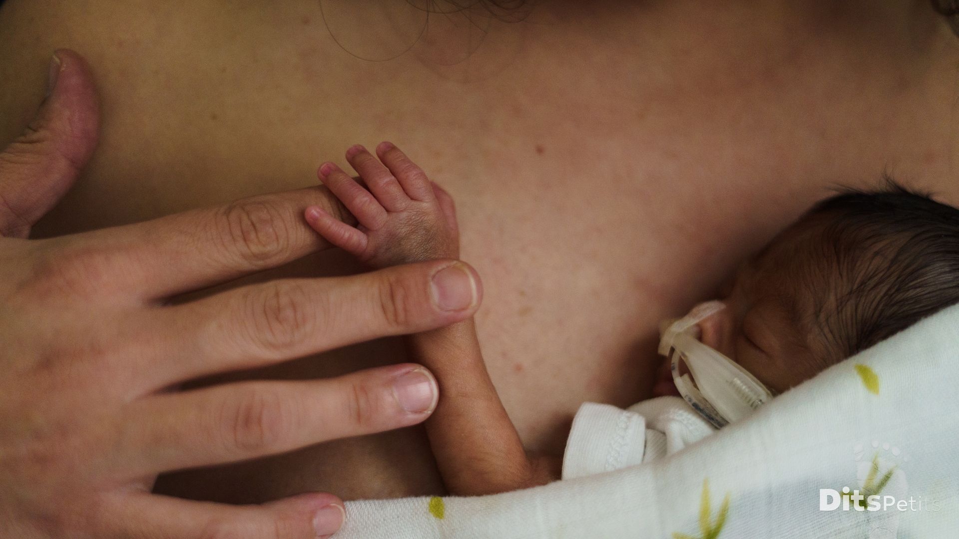 Dits Petits', un recuerdo visual en la UCI de neonatos