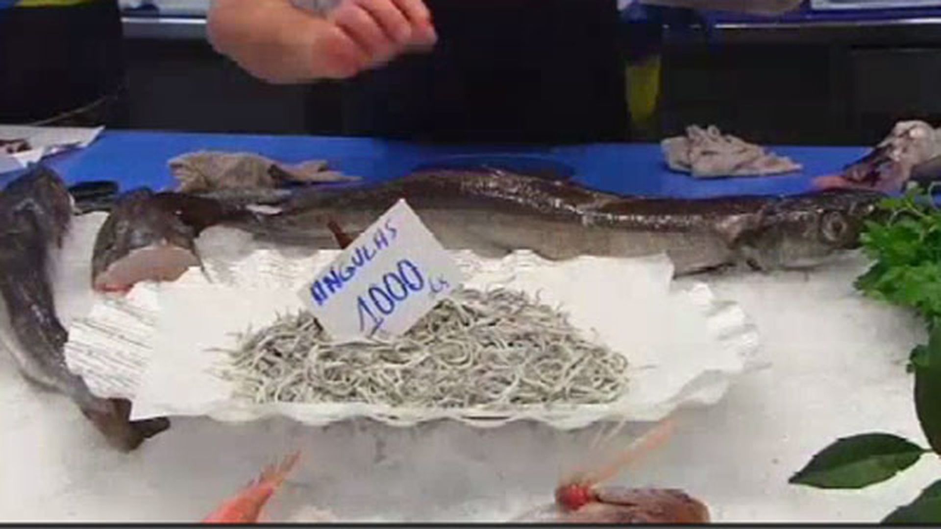 El tesoro de las angulas