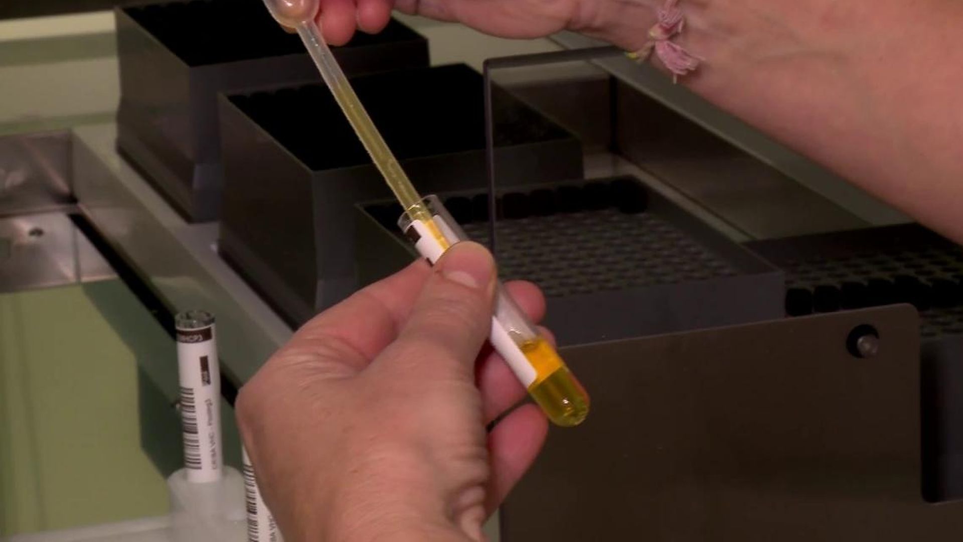 La mutación de la gripe, la 'variante K': las vacunas actuales no están preparadas para combatirla