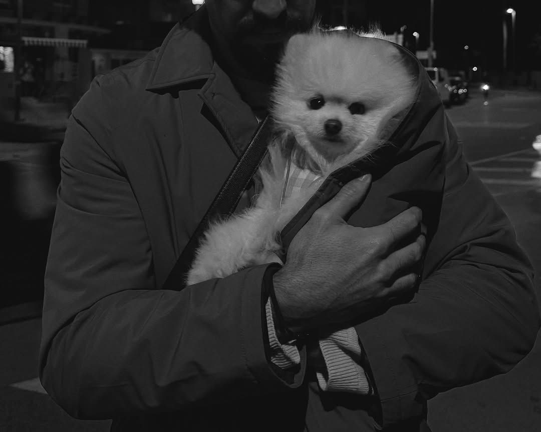 Mario Casas y el perro de Melyssa Pinto, Romeo