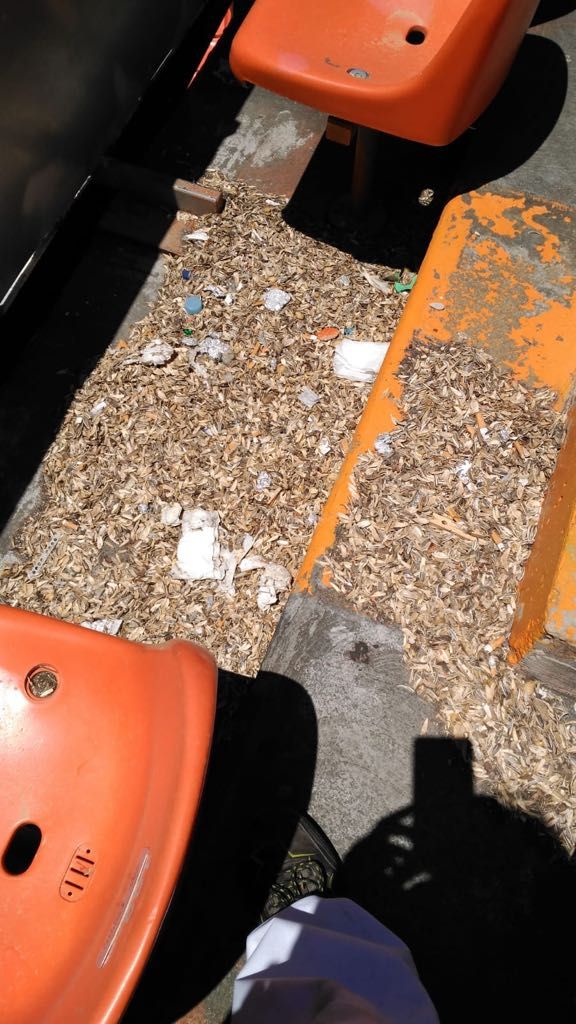 Cáscaras de pipas en Mestalla