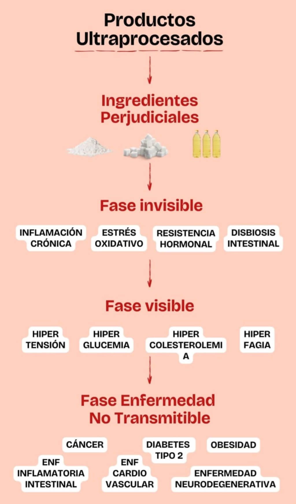 Esquema explicativo de la relación entre ultraprocesados y cáncer