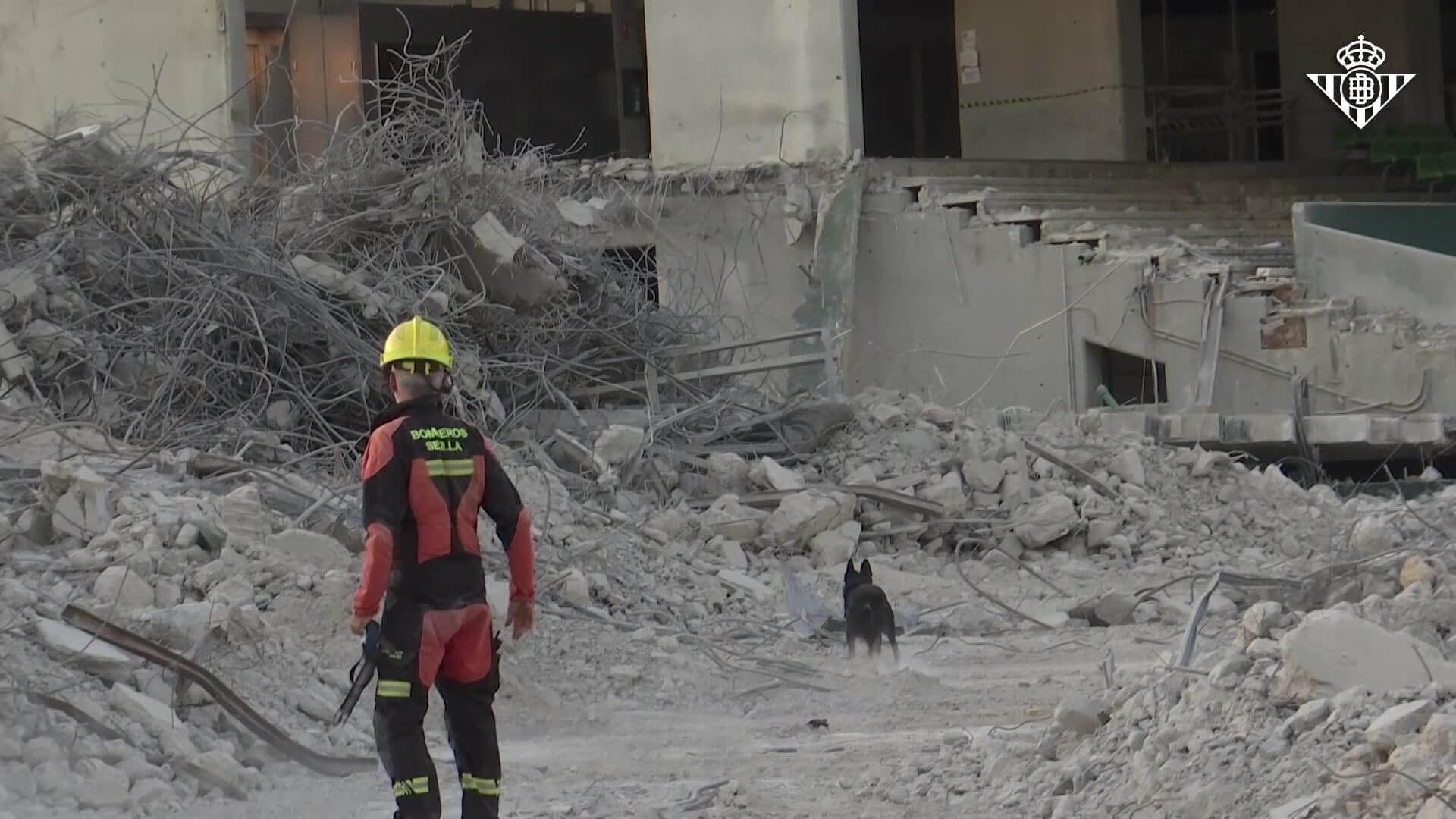  Los Bomberos de Sevilla entrenan en el Benito Villamarín con sus perros de rescate.