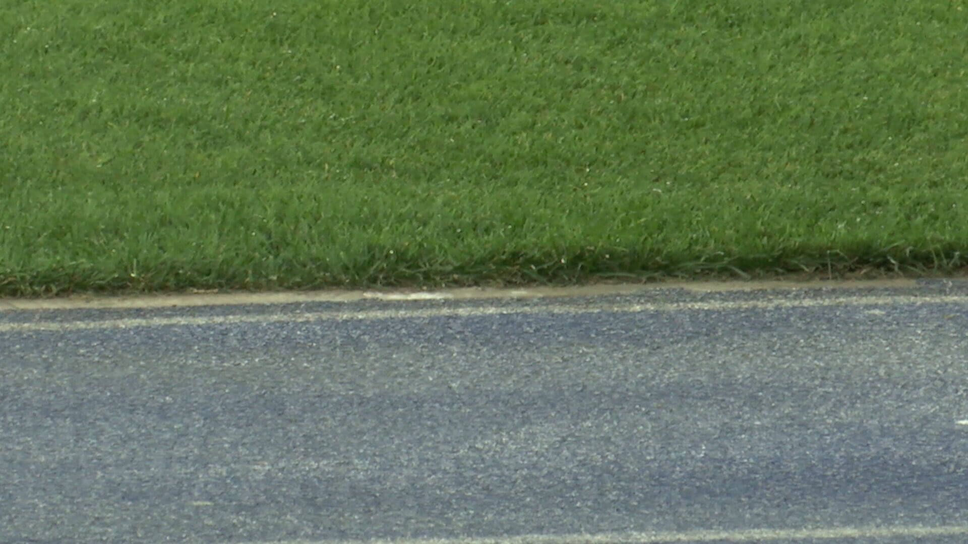 El césped en Almatý (ElDesmarque)