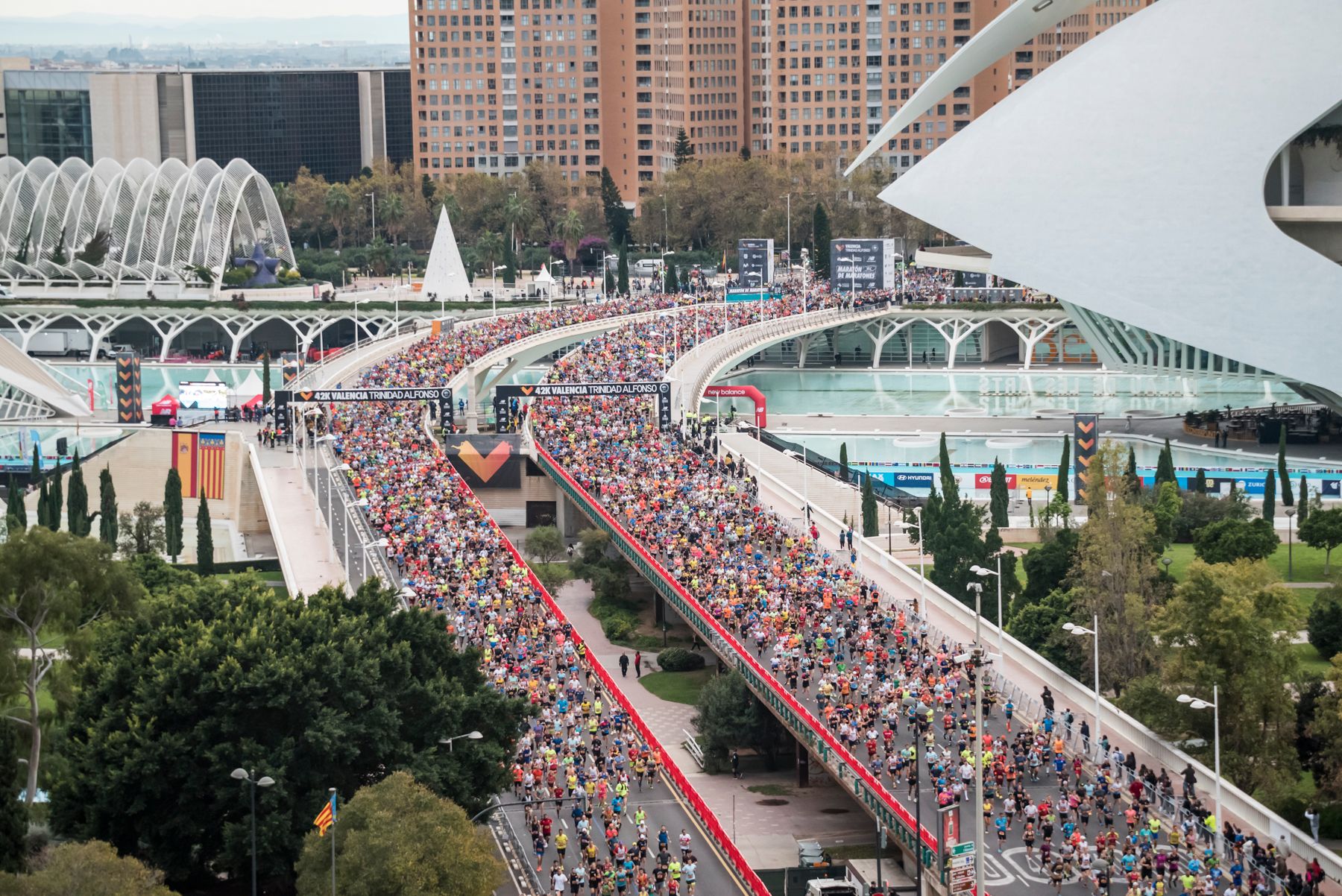 Así vivimos el Maratón Valencia: Kiptum y Beriso destrozan el crono y los pronósticos