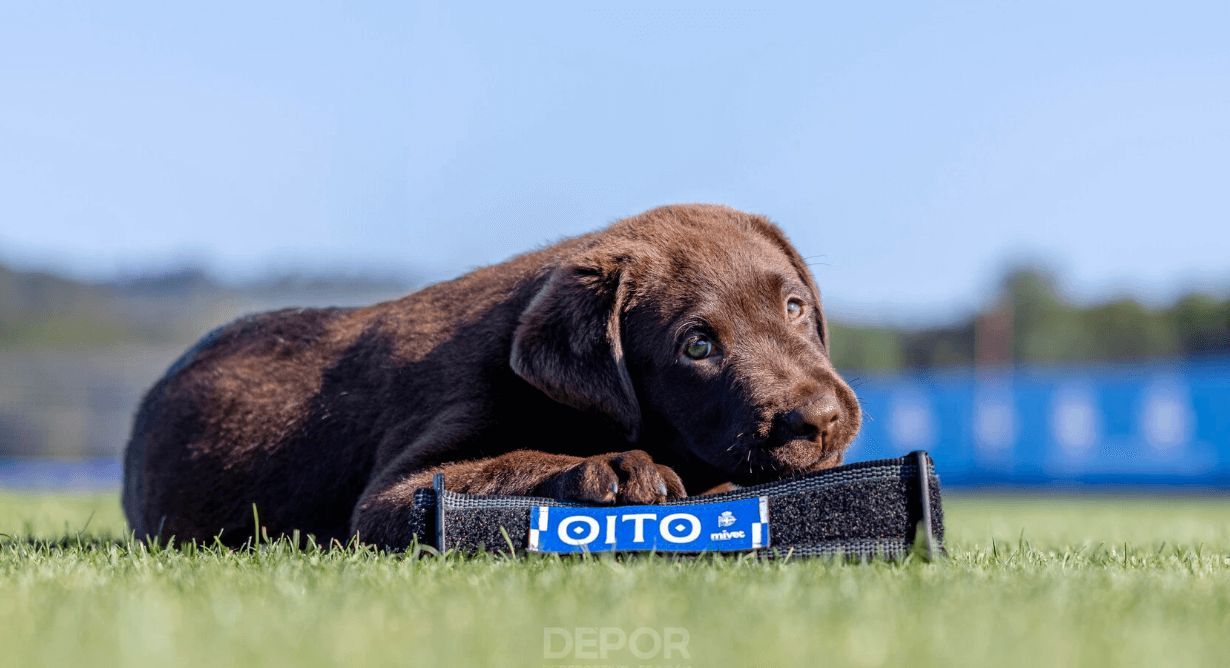 Oito, 'fichaje' del Dépor (FOTO: @RCDeportivo).