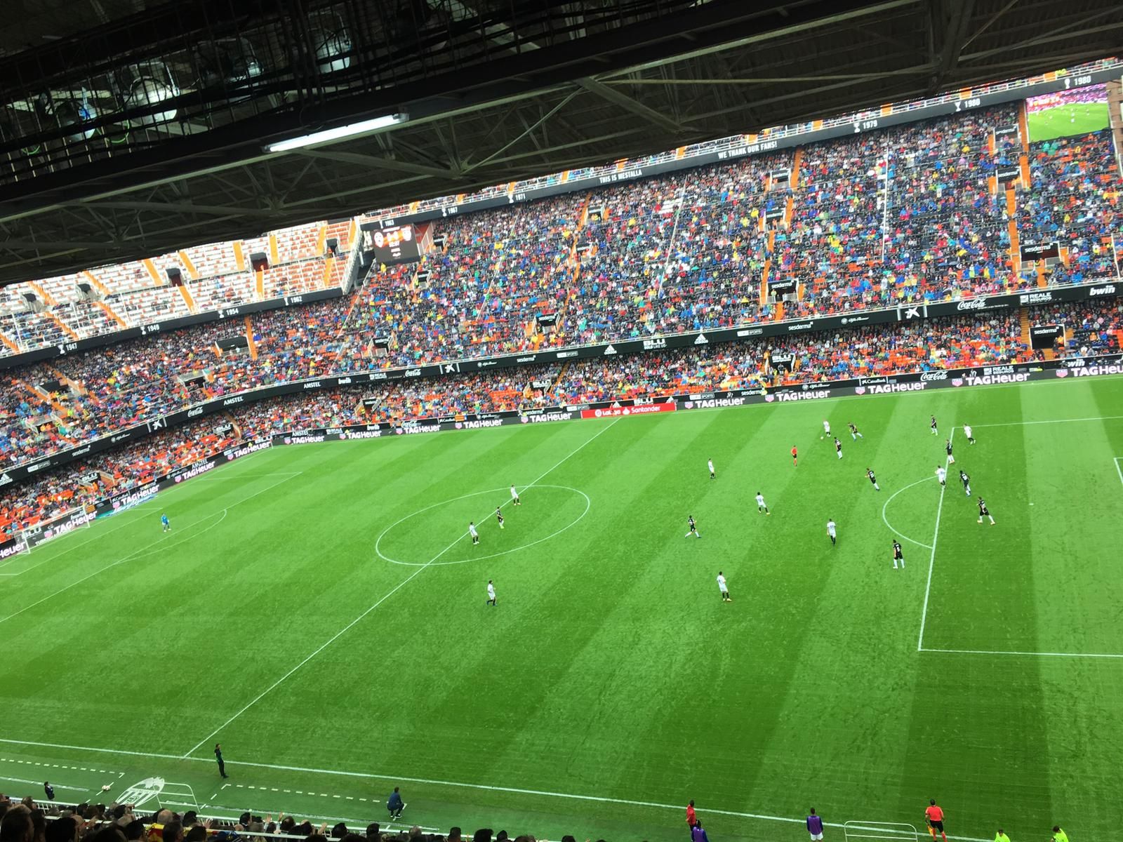  Así lució el césped en Mestalla durante la lluvia.