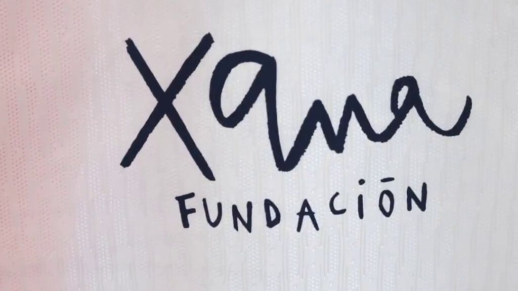  El logo de la Fundación Xana (PSG)