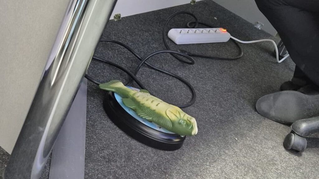  El pez de Xabi Alonso (Redes sociales)