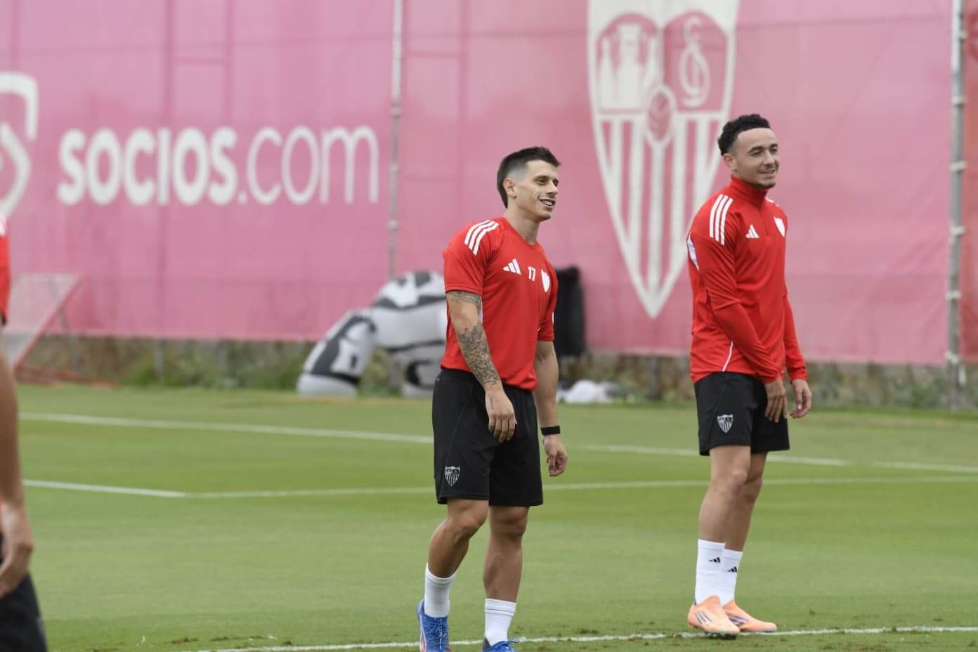 Alfon, en la sesión del martes.