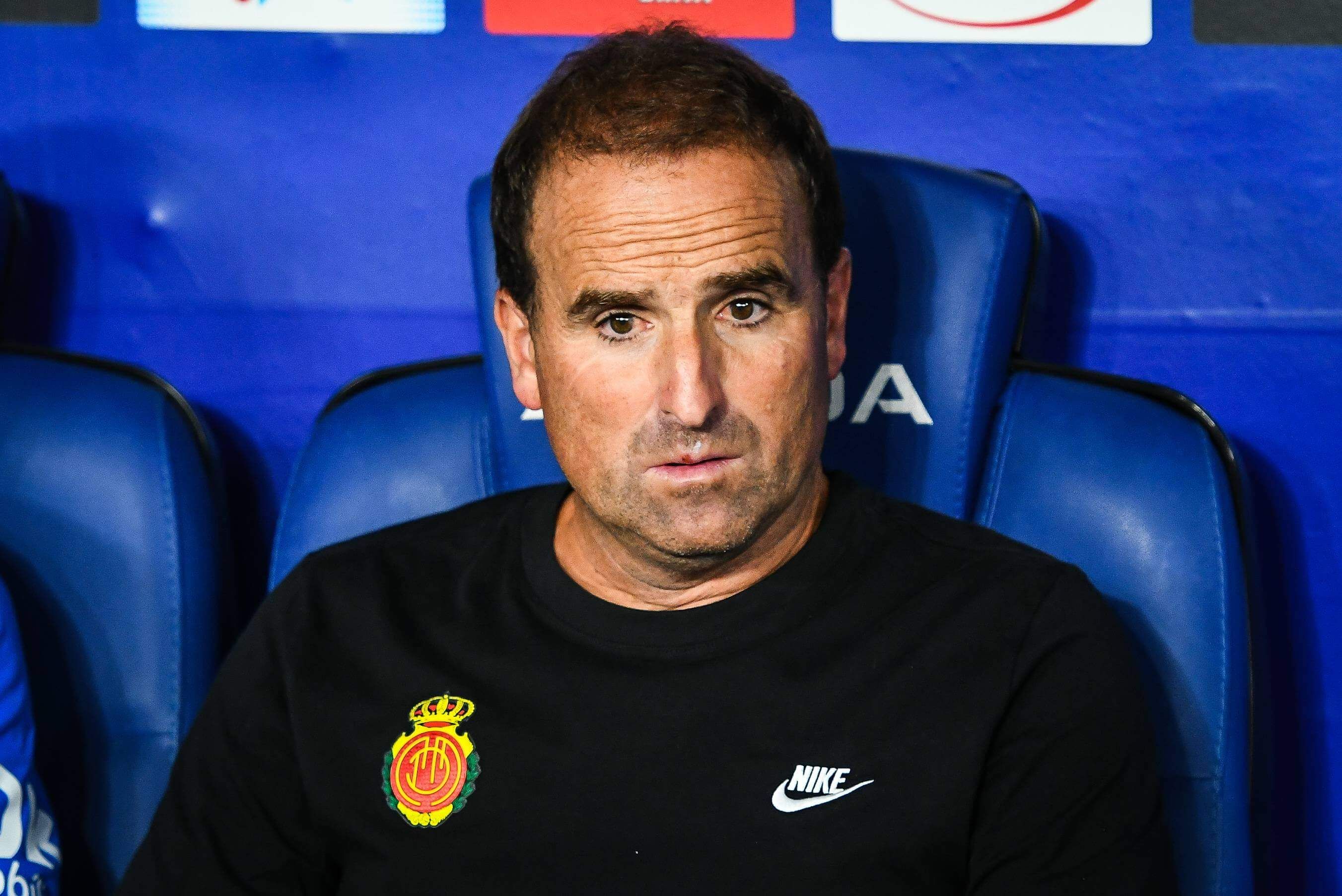 Jagoba Arrasate, en un partido del Mallorca.