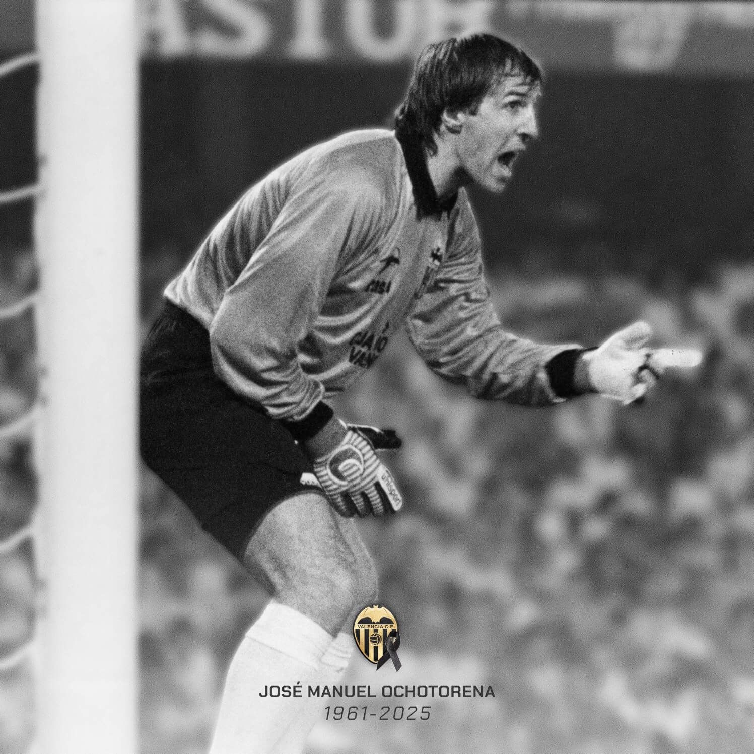 José Manuel Ochotorena