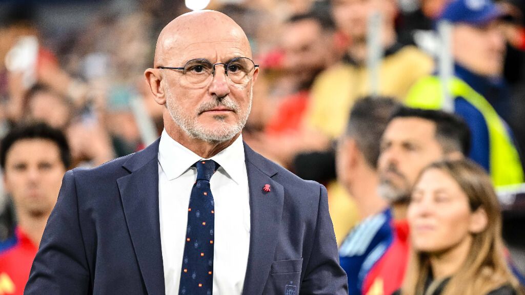 Luis de la Fuente, en un partido de la Selección (Cordon Press)