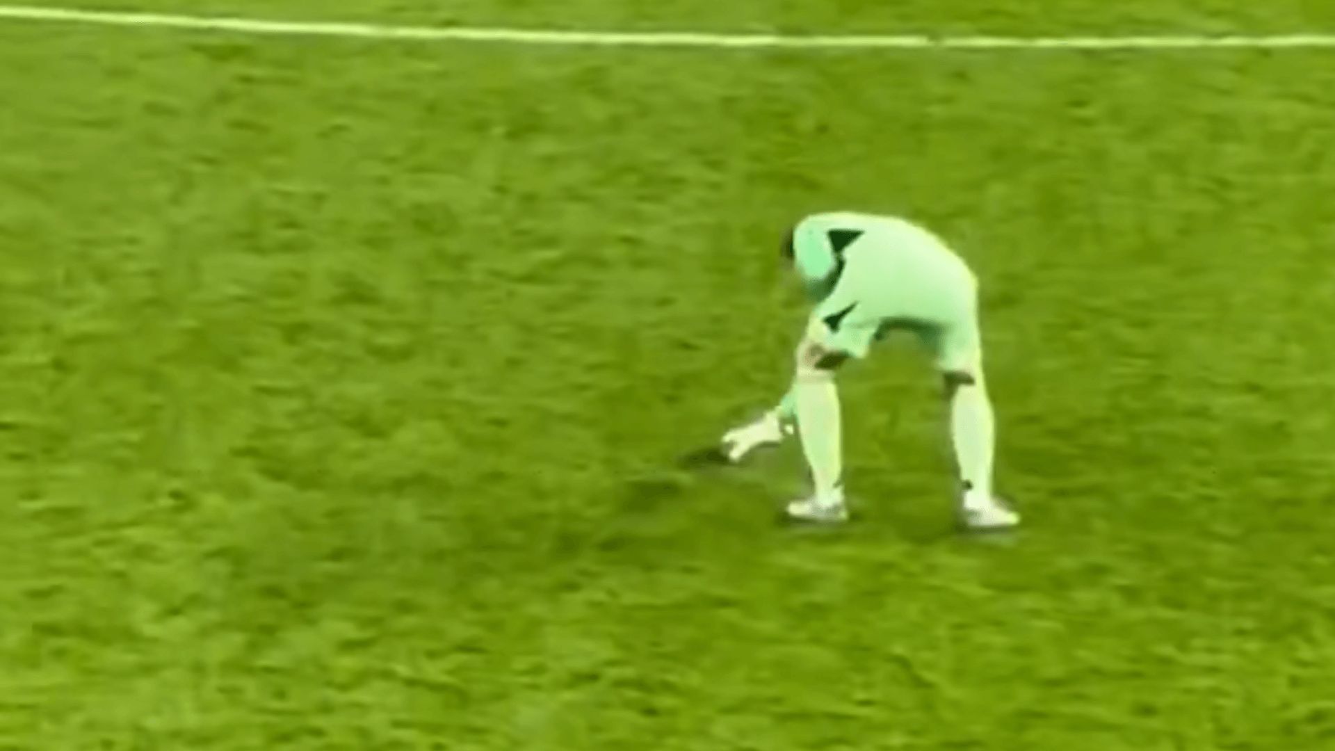  Thibaut Courtois, tratando de coger una rata en el Gales-Bélgica.