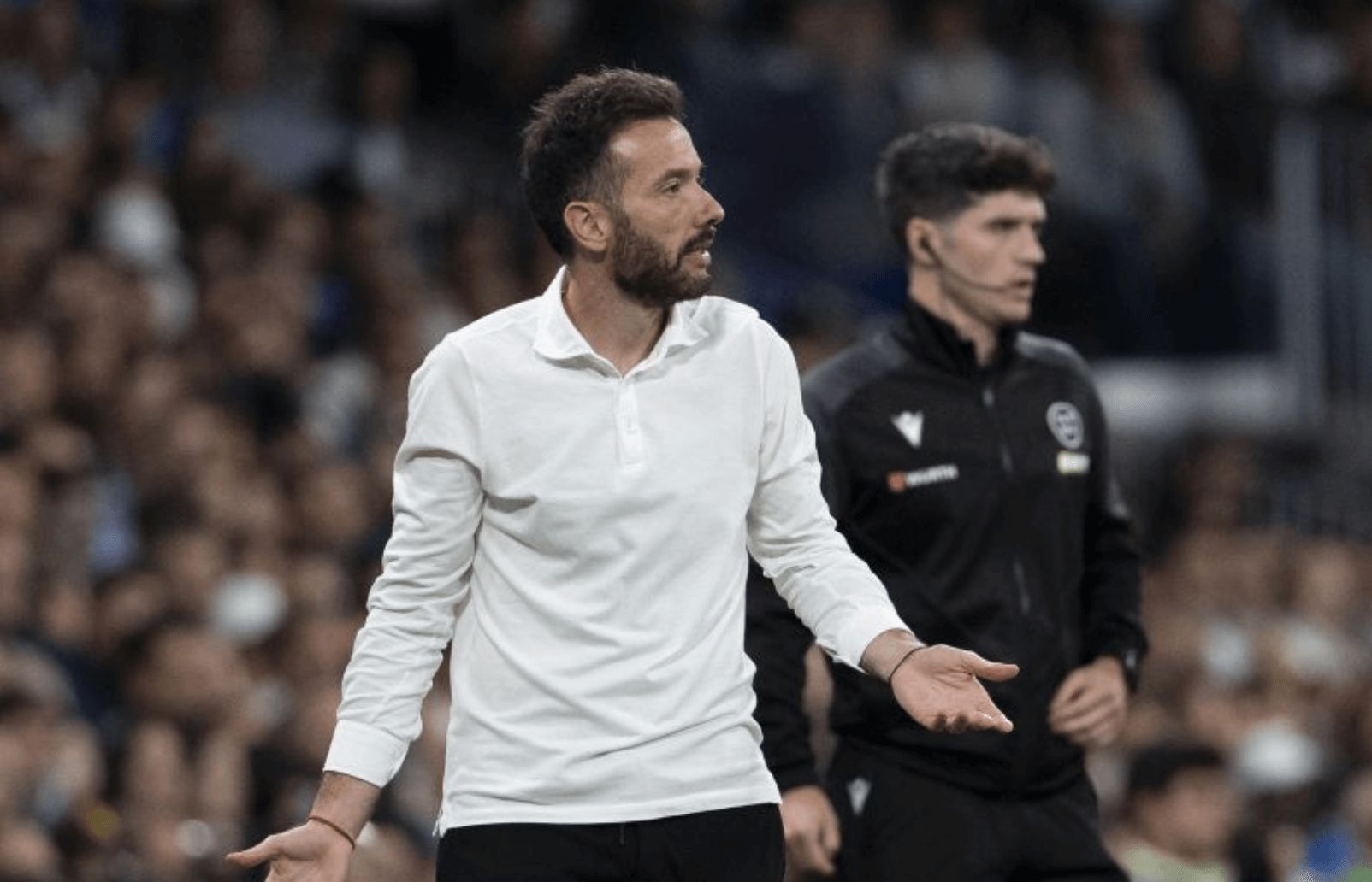 Carlos Corberán en el Bernabéu