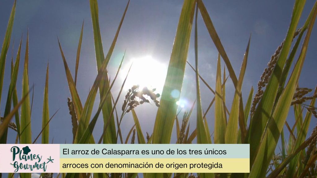 P90 - Arroz de Calasparra, un indispensable de la gastronomía murciana Planes Gourmet Temporada 2 Programa 90