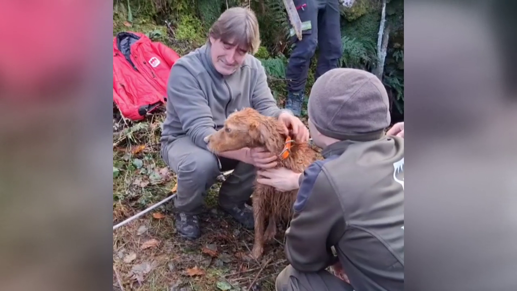 Lágrimas de felicidad por ‘Fox’, el perro vasco que llevaba 10 días desaparecido y ha sido rescatado de una mina en Guipúzcoa