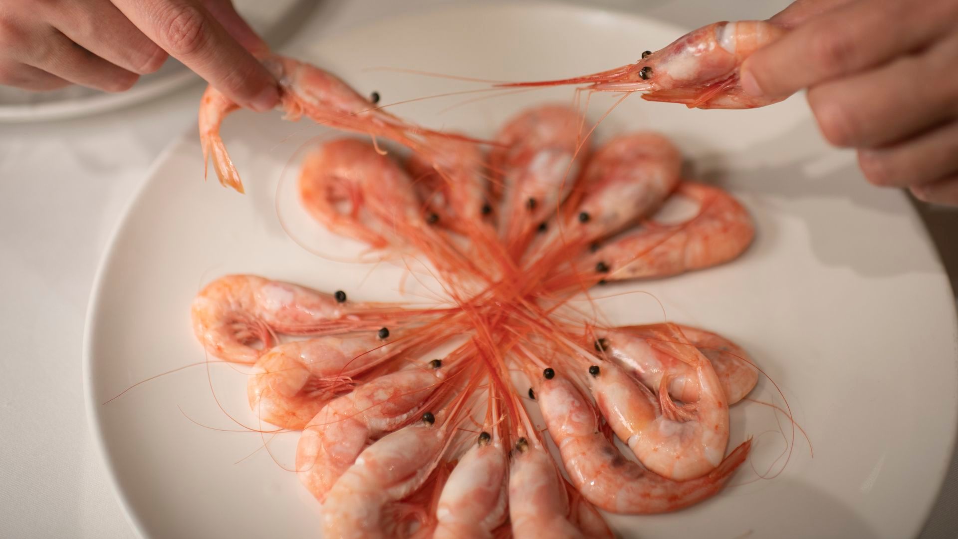 Quisquillas de Motril de Oliver