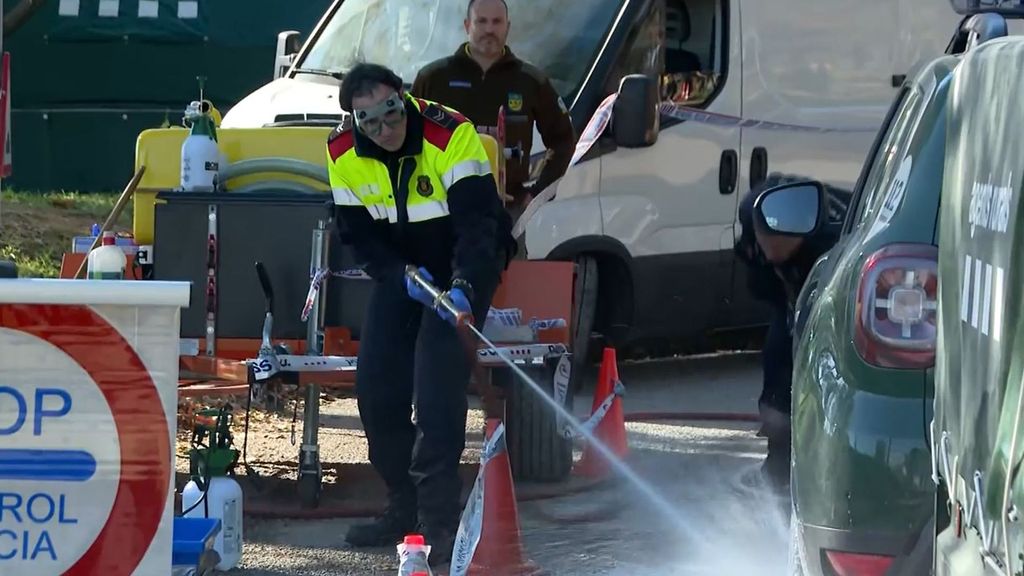 Un bocadillo contaminado pudo provocar el foco de fiebre porcina africana en Cataluña