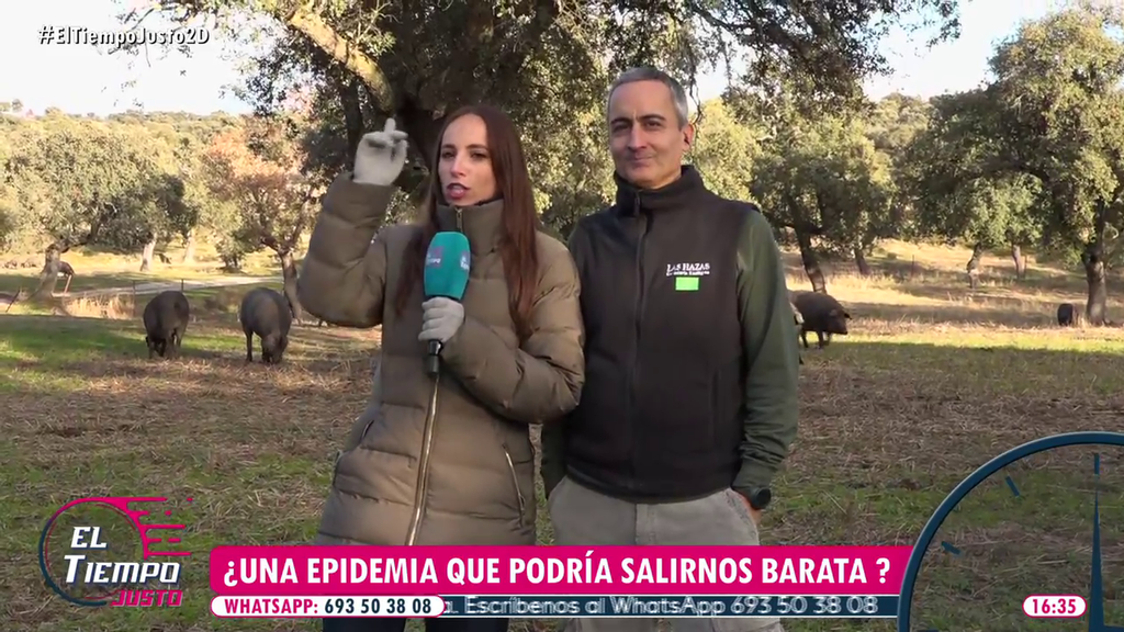 El mensaje de calma de un ganadero tras el brote de peste porcina